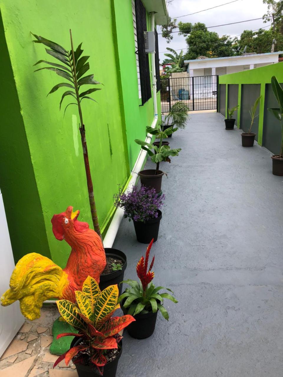 Vieques Good Vibe Guest House Экстерьер фото